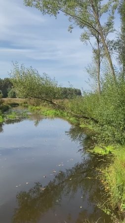 Тверская область. Река Орша