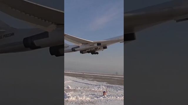 тот самый Белый лебедь