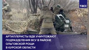 Артиллеристы ВДВ уничтожают подразделения ВСУ в районе Ольговской рощи в Курской области