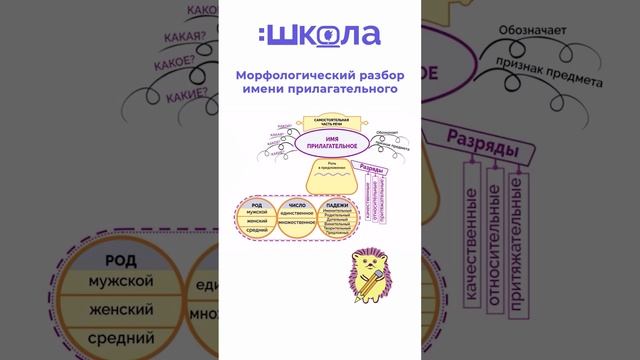 морфологический разбор имени прилагательного 1 часть