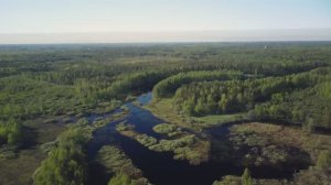 Плёс на речке Поль (полёт на квадрокоптере). Село Эрлекс, Гусь-Хрустальный район