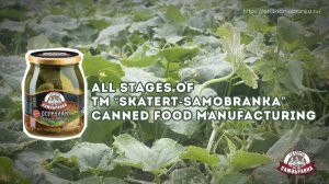 All stages of TM "SKATERT-SAMOBRANKA" canned food manufacturing