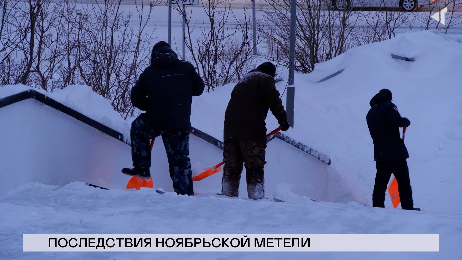 НОВОСТИ СЕВЕРНОГО ГОРОДА, 19.11.2024