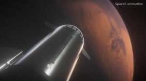 Starship Илона Маска
