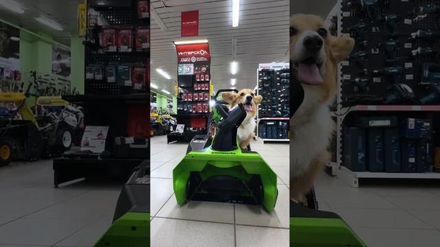 Мастер Лапыч СНЕГОУБОРЩИКИ