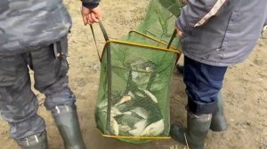 Астрахань осень 2022