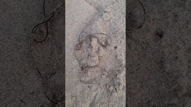 Волос. Залезет такой паразит и сожрет изнутри