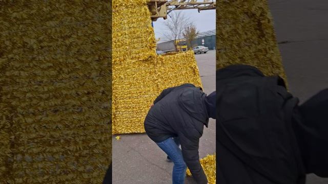 Новогоднее настроение в #Манго