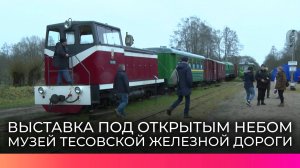 В Новгородском районе музей Тёсовской узкоколейной железной дороги отмечает 10-летие