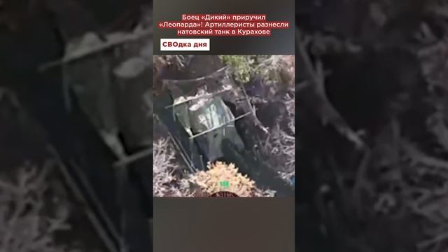 Боец «Дикий» приручил «Леопарда»! Артиллеристы разнесли замаскированный натовский танк в Курахове