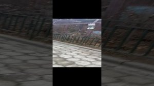 28 декабря 2018 года