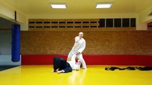 2017 Начинающему айкидоке мешает то, что помогает мастеру...