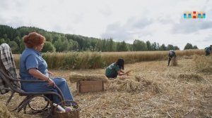 Покосить и собрать десять букетов овса