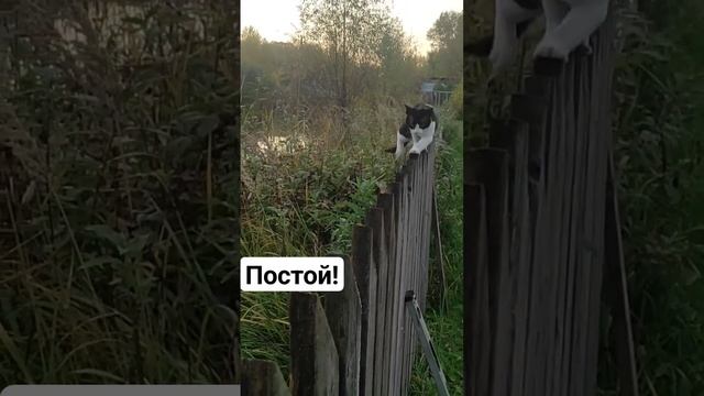 Верная подруга!
