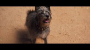 Мой любимый двортерьер | Трейлер | В кинотеатре «Москва»