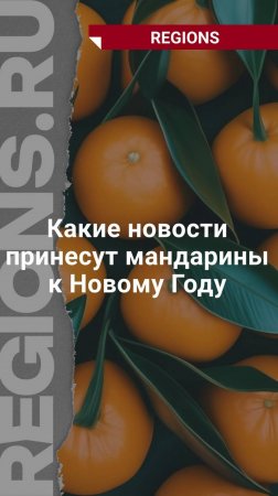 Какие новости принесут мандарины к Новому Году