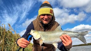 Жерех на крэнки в октябре 🍂🎣 рыбалка в Астрахани | Сергей Гончаров