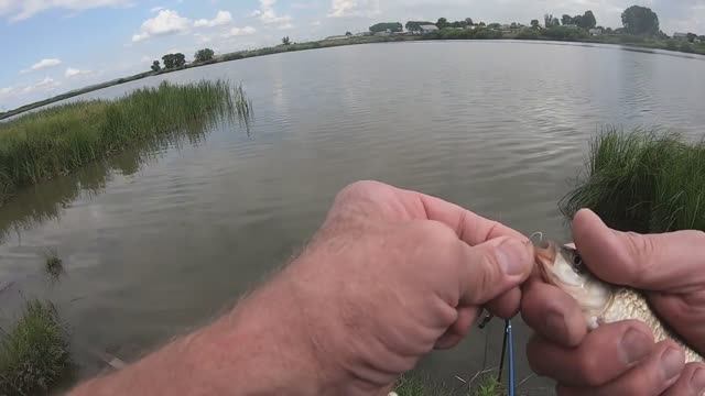 Рыбалка на поплавок! смотреть онлайн