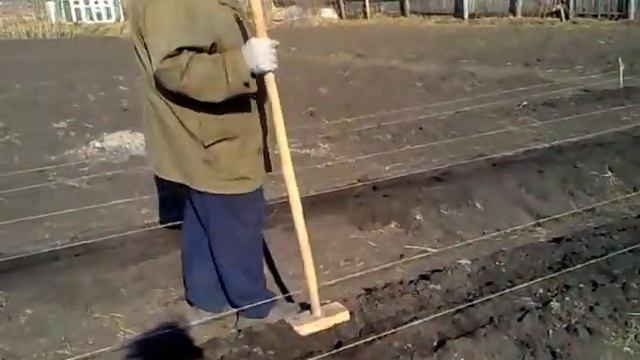 Сажаем картошку. часть 1.mp4
