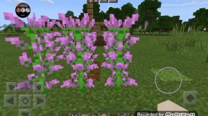 Простились с Джоном Левиным. Его похоронили на Троекуровском кладбище!