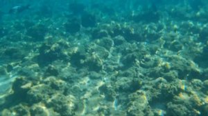 Шарм-эль-шейх, февраль 2024