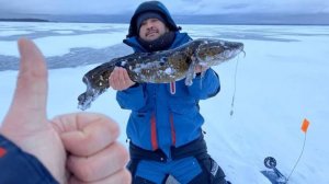 ПОЙМАЛ ОГРОМНОГО НАЛИМА НА СЯМОЗЕРО | ДОЛГОЖДАННЫЙ ТРОФЕЙ! ЛОВЛЯ КУРПНОГО НАЛИМА | РЫБАЛКА 2020