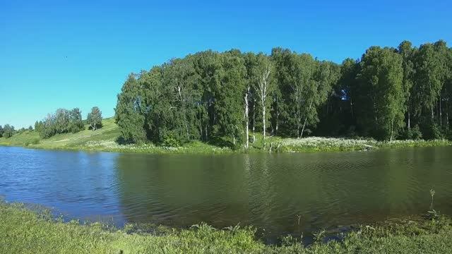 Секретный пруд. В котором очень КРУПНЫЙ карась!!! смотреть онлайн