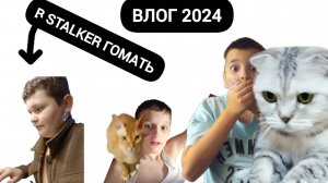 Влог 2024|Гости и драка между котом и ваней.