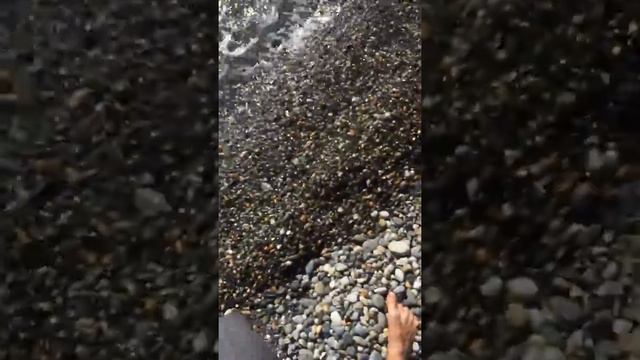 Дикий пляж на побережье Сочи-Учь-Дере смотреть онлайн