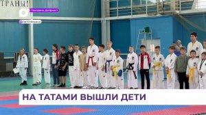 Почти 400 ребят из Приморья собрались на открытый турнир по тхэквондо в Фокино