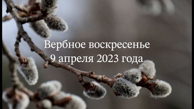 Вербное воскресенье