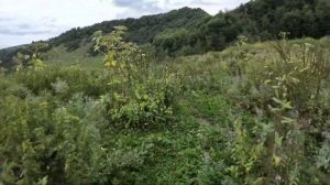 Гонка в Чечне 2024 (1 день класс бронза)