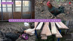 🏠Ремонт в доме в деревне. Привезли окна. Куры🐔 Огород