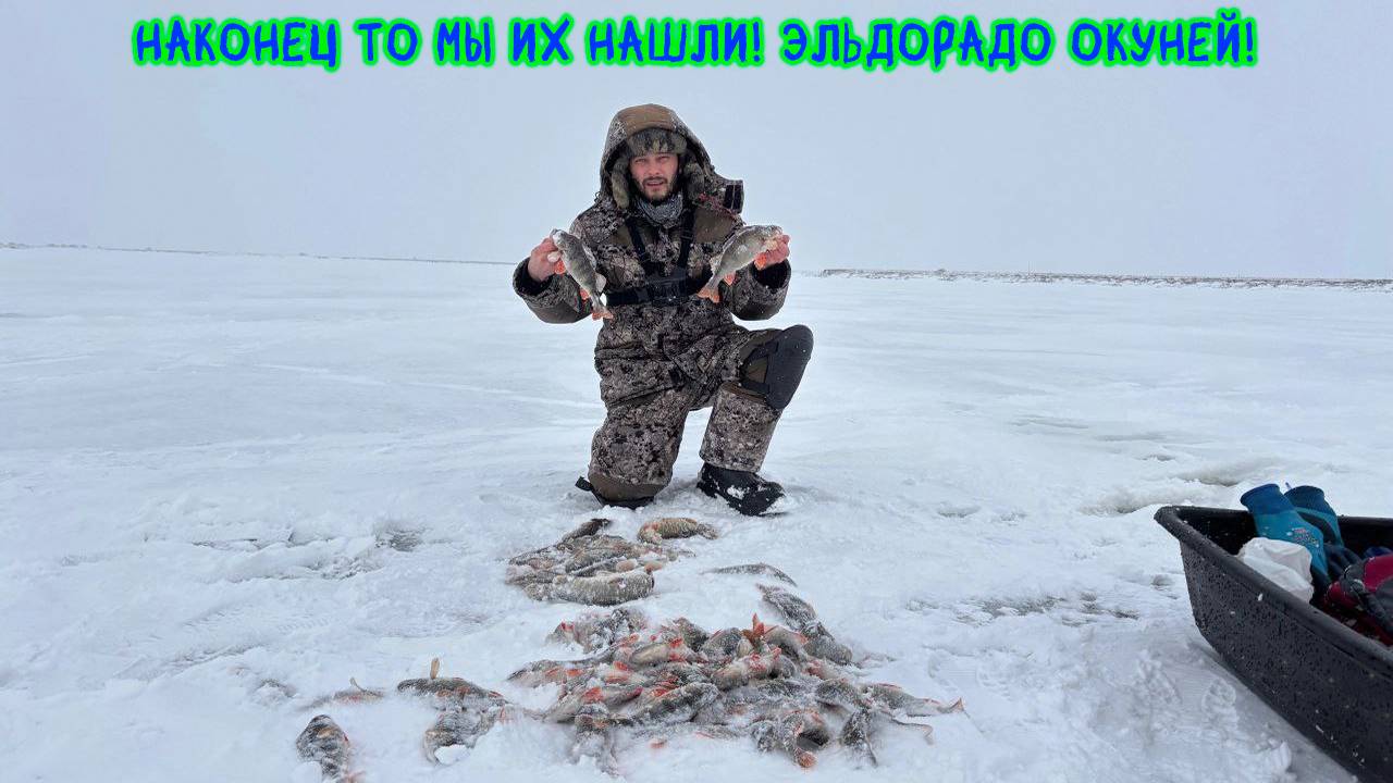 Эльдорадо окуней! Наконец-то мы их нашли! #рыбалка #окунь #щука #зимняяловлярыбы