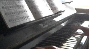 Много песен на Земле