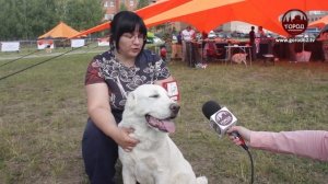 Крупнейшая выставка алабаев