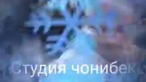 Олими давлат туйона