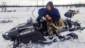 Славный род оленеводов Валеевых|Северный колорит