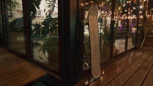 7634687-uhd_4096_2160_24fps