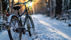 Снежный плен 2 15.12.2023 Вечер