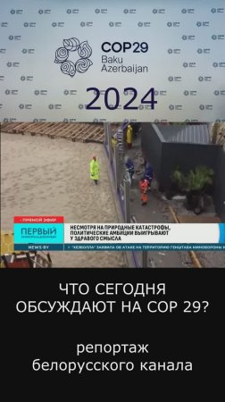 СОР 29 - это просто говорильня, результатов нет