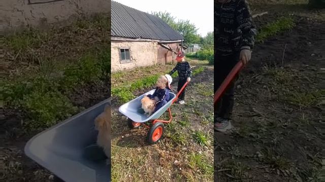 Петрук Е.В. смотреть онлайн