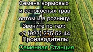 Семена кормовых и сенокосных травосмесей