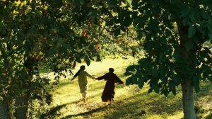 12437321_1920_1080_60fps