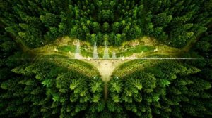 От МВД до экологии: Неожиданный поворот судьбы