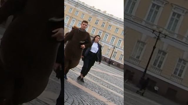 Как устроен бизнес уличных аниматоров? #аниматоры #зов #shorts смотреть онлайн