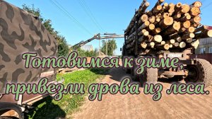 Готовимся к зиме, привезли дрова из леса.