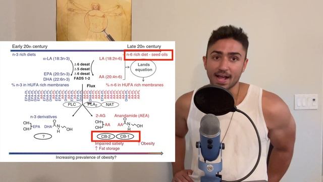 This Supplement has Astonishing Youth Promoting Effects... смотреть онлайн