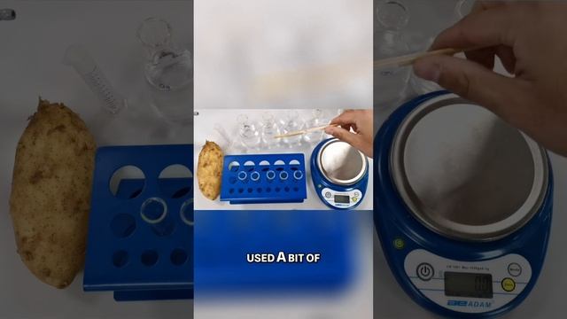 How Does Concentration of Sucrose Affect Osmosis in Potatoes? #biology #gcsescience #osmosis