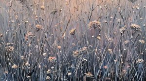 Истории для души- Тени ночного предательства...